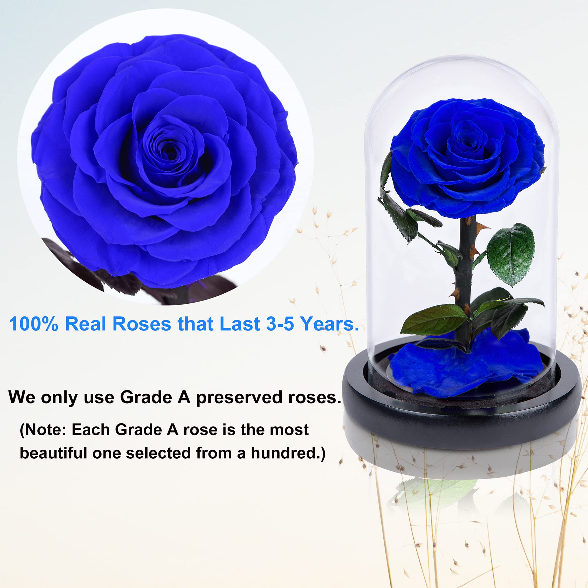 Amazon｜ガラスドームのハンドメイドプリザーブドフラワー、ロイヤル